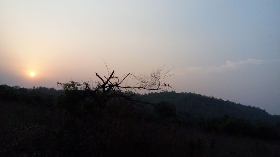 Photo of Wild & Mild - Jim Corbett National Park & Nainital, Uttarakhand 3/3 by Tanmay Mittal