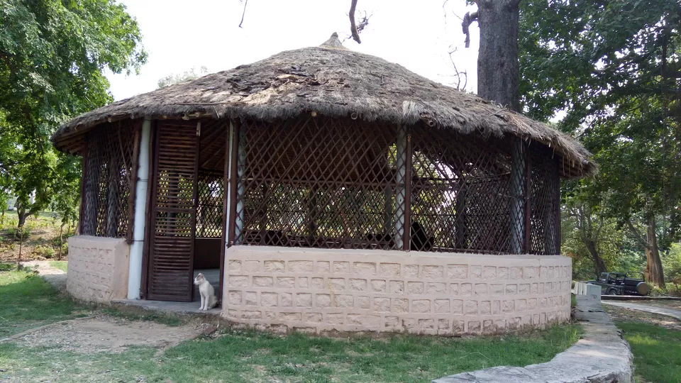 Photo of Jim Corbett National Park, Ramnagar, Uttarakhand, India by Tanmay Mittal