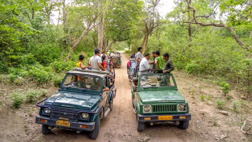 Photo of Jim Corbett National Park, Ramnagar, Uttarakhand, India by Tanmay Mittal