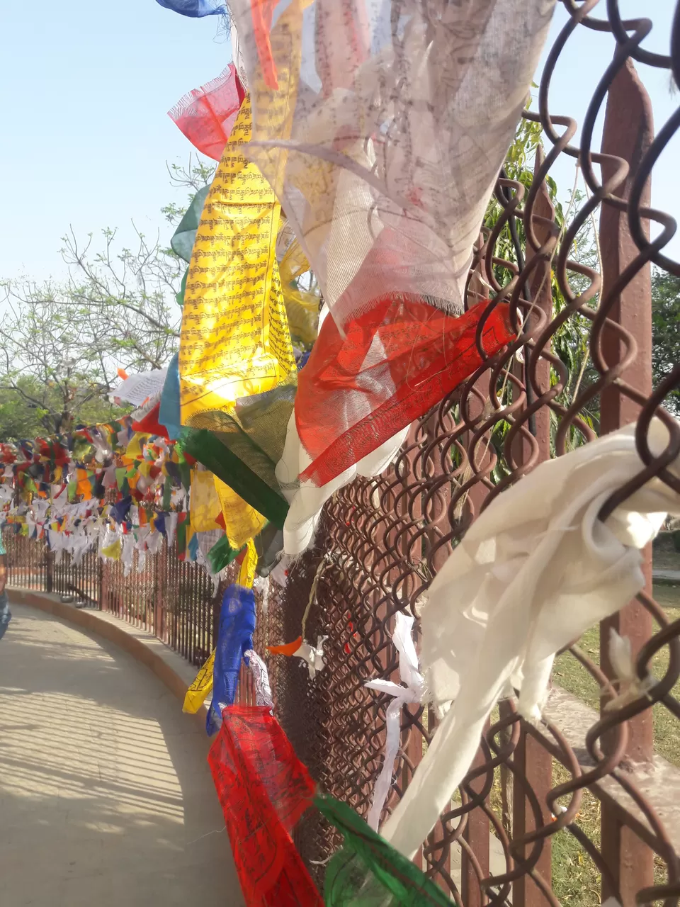 Photo of Varanasi & Sarnath- City of Hope & peace by Tanmay Mittal
