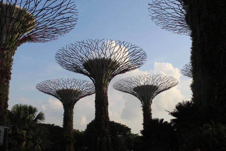Photo of Mandai Lake Road, Night Safari, Singapore by Tanmay Mittal