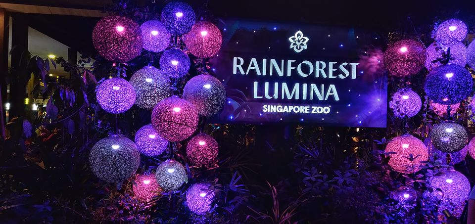 Photo of Mandai Lake Road, Night Safari, Singapore by Tanmay Mittal
