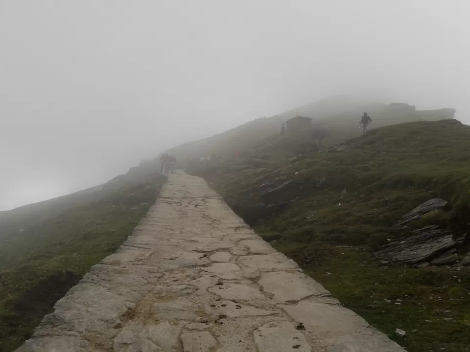 Photo of Chopta, Uttarakhand, India by Tanmay Mittal