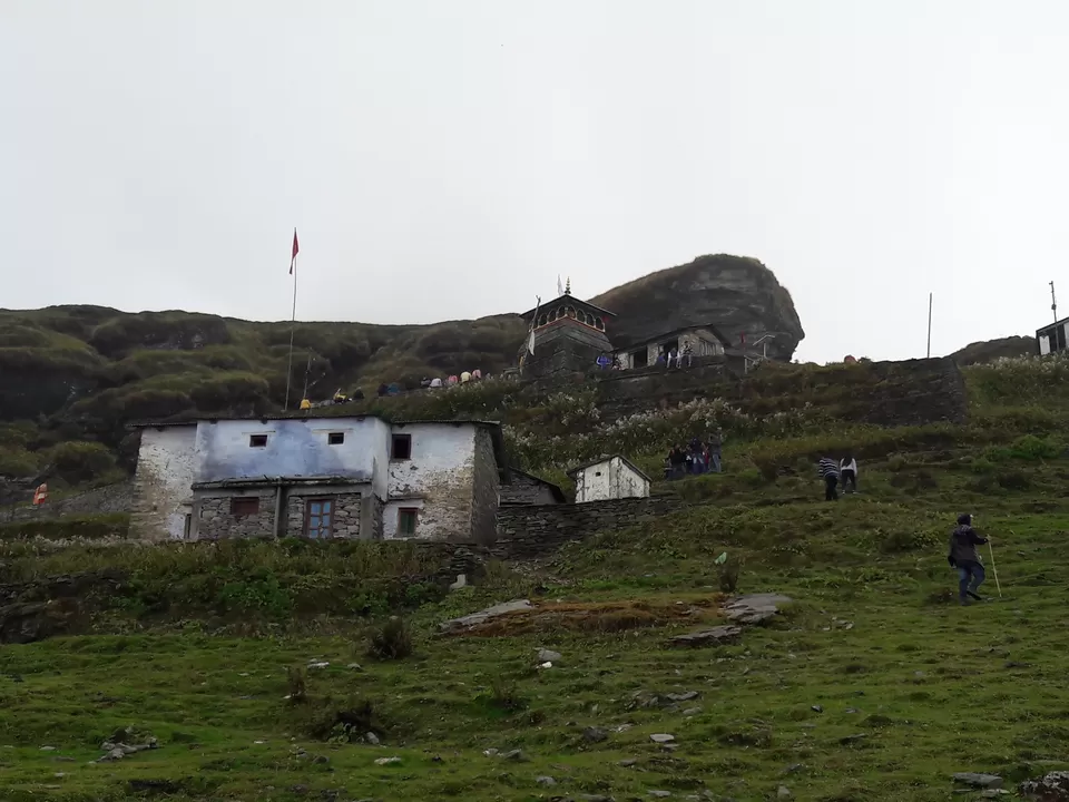 Photo of Chopta, Uttarakhand, India by Tanmay Mittal
