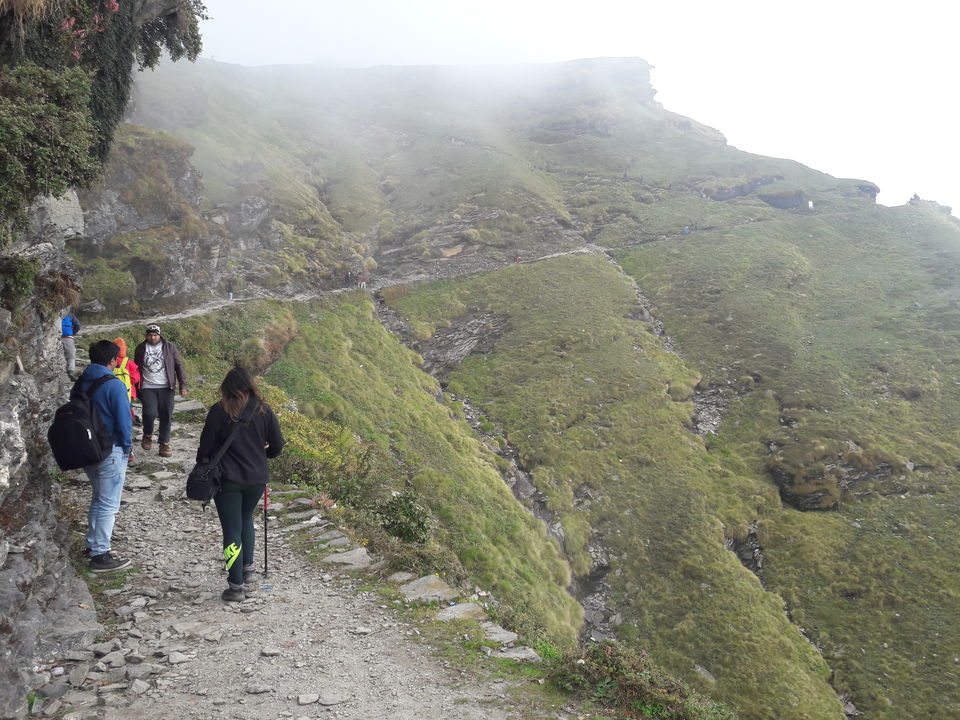 Photo of In admist of mountains, chopta-tungnath trek is path to heaven #offbeatuttarakhand by Tanmay Mittal