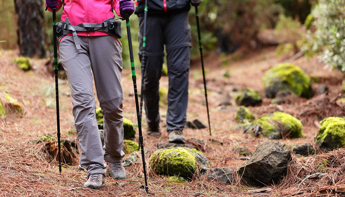 Photo of What Are the Latest Features and How Useful Are Hiking Poles 1/1 by Rambo Rockey