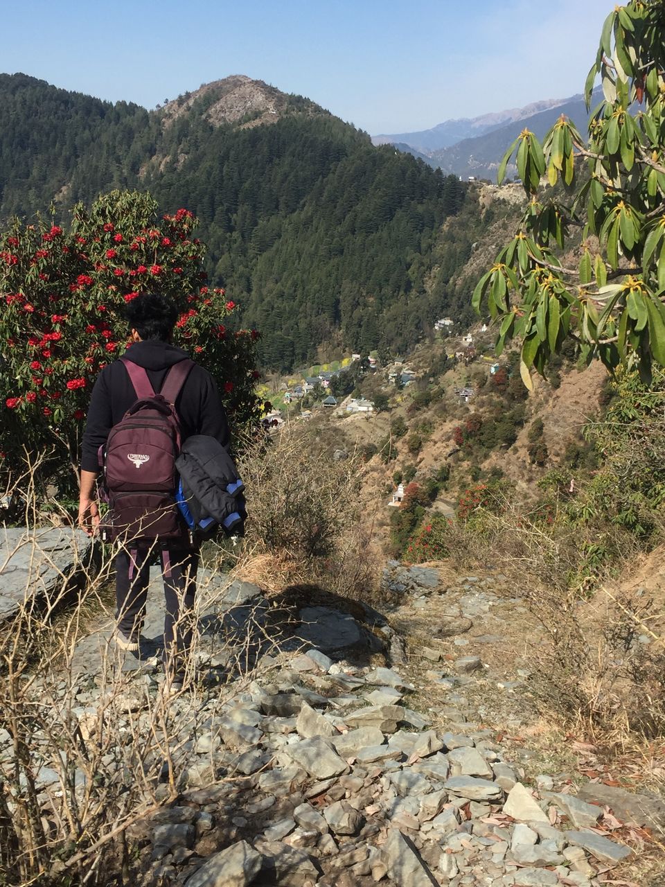 Photo of Triund- A crown jewel of Dharamshala. by Vagabond.inc