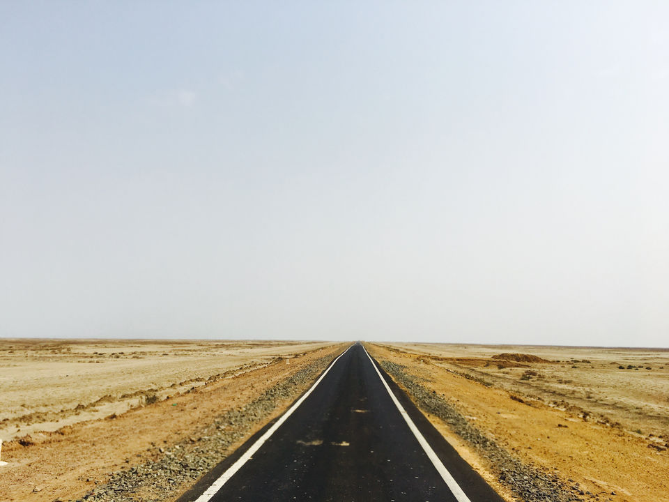 Photo of Death Valley Of India, Bhuj. by Pankaj Chavan