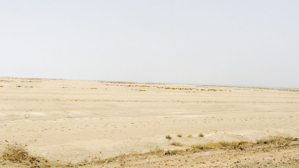 Photo of Death Valley Of India, Bhuj. by Pankaj Chavan