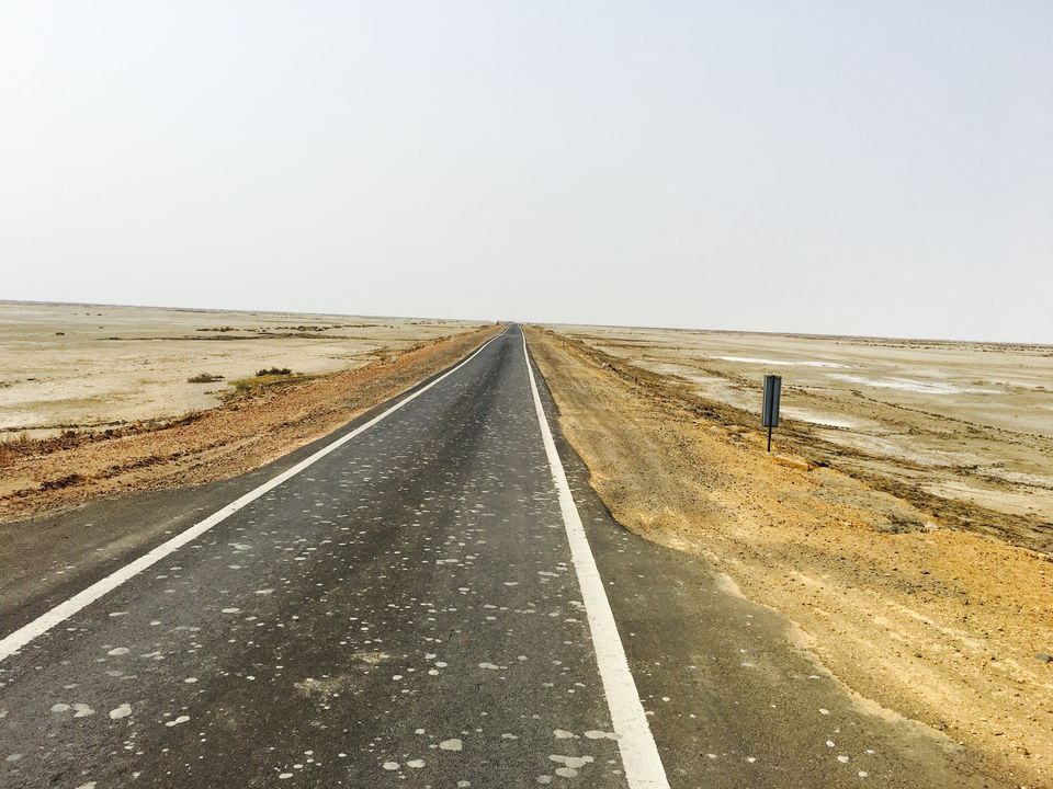 Photo of Death Valley Of India, Bhuj. by Pankaj Chavan