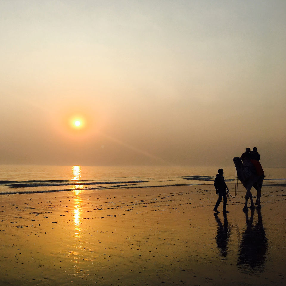 Photo of Mandvi Beach, Mandvi Rural, Gujarat, India by Pankaj Chavan