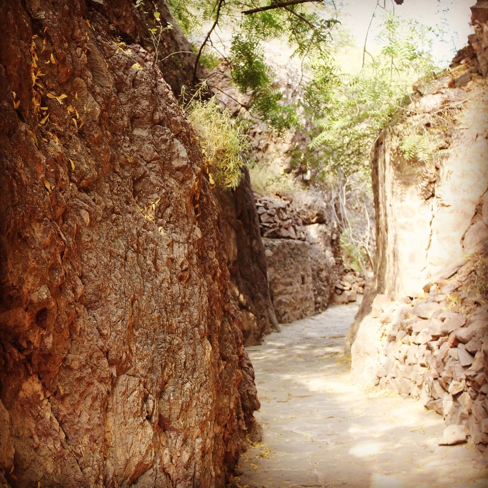 Photo of Rao Jodha Desert Rock Park, Jodhpur, Rajasthan, India by Pankaj Chavan