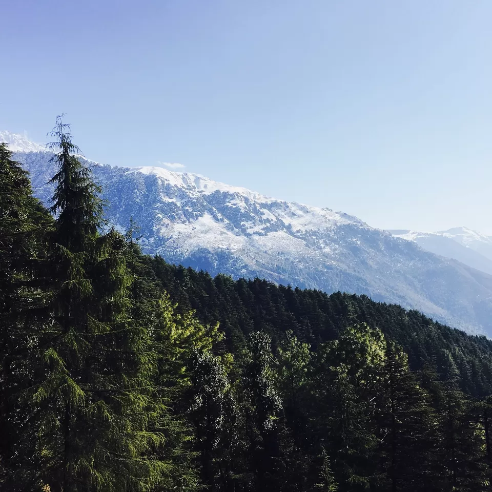 Photo of McLeod Ganj, Dharamshala, Himachal Pradesh, India by Pankaj Chavan