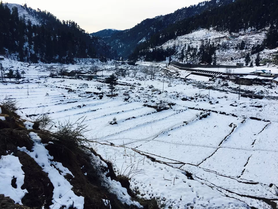 Photo of Barot: An Extraordinary Destination in Himalayas by Pankaj Chavan