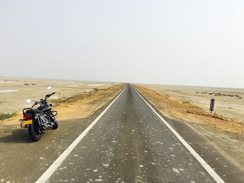 Photo of Death Valley Of India, Bhuj. by Pankaj Chavan
