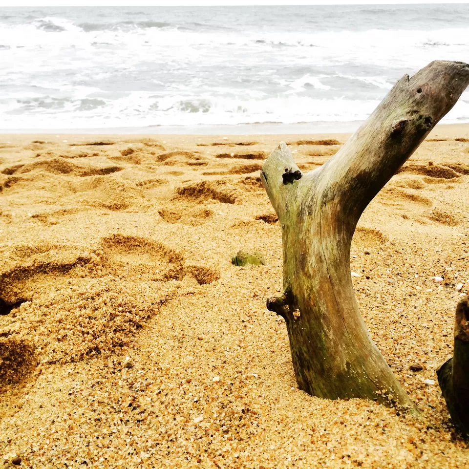 Photo of Auroville Beach, Villupuram, Tamil Nadu, India by Pankaj Chavan