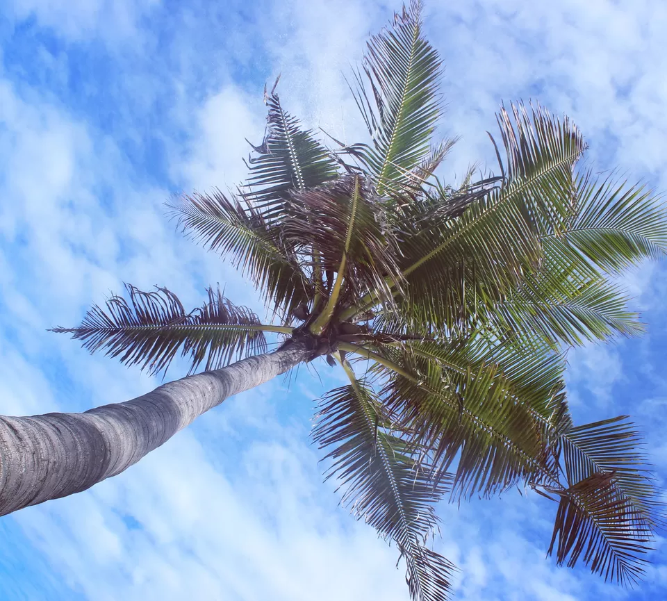 Photo of Paradise Beach, Puducherry, India by Pankaj Chavan