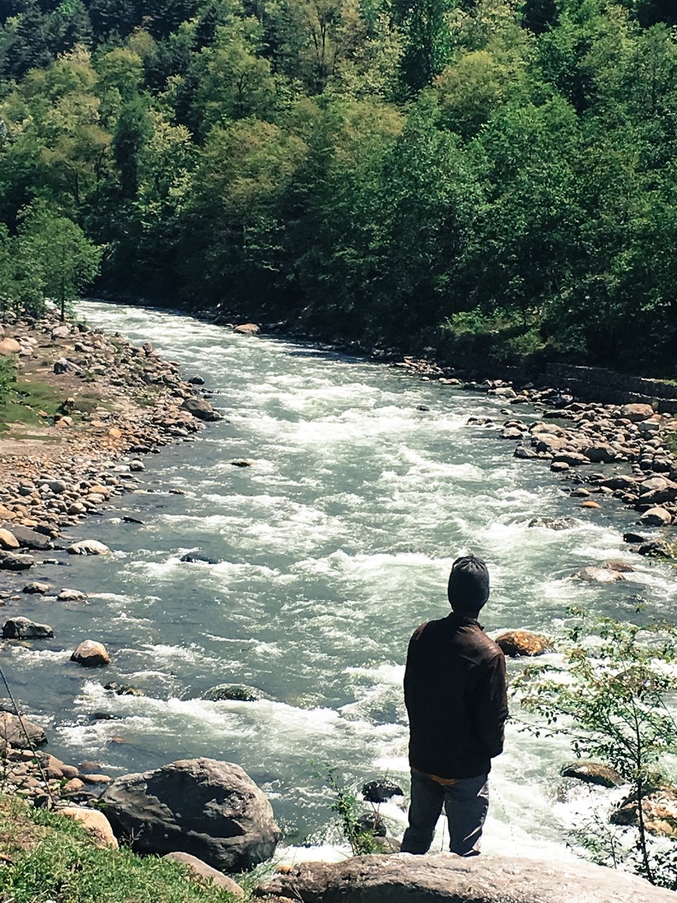 Photo of Exceptional Manali, Extraordinary Kasol. The Best Roadtrip by Pankaj Chavan