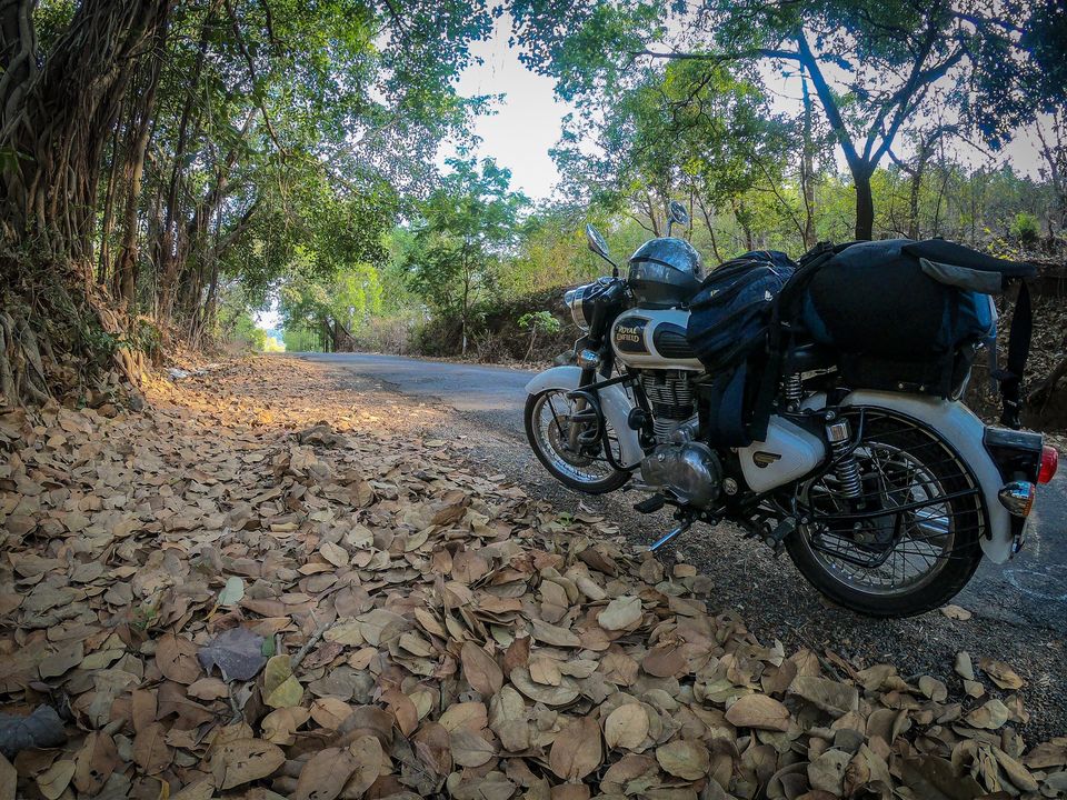 Photo of Find out India's own Bali - A stunning coastal roadtrip! by Pankaj Chavan