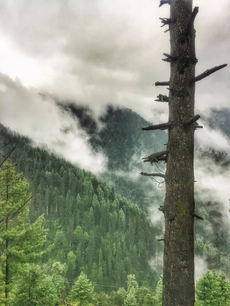 Photo of Narkanda, Himachal Pradesh, India by Pankaj Chavan
