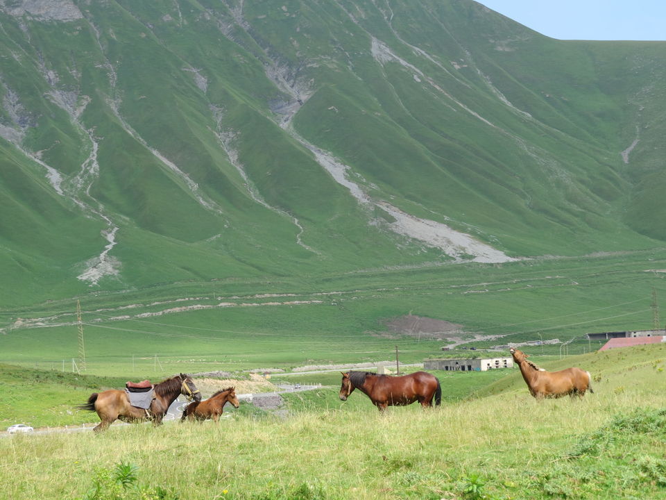 Photo of Discover the hidden gem - Georgia (Saqartvelo, საქართველო) 14/58 by Yukti Art