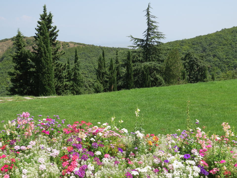 Photo of Discover the hidden gem - Georgia (Saqartvelo, საქართველო) 16/58 by Yukti Art