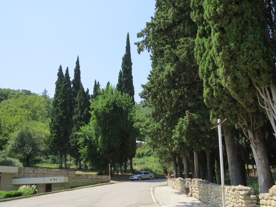 Photo of Discover the hidden gem - Georgia (Saqartvelo, საქართველო) 47/58 by Yukti Art