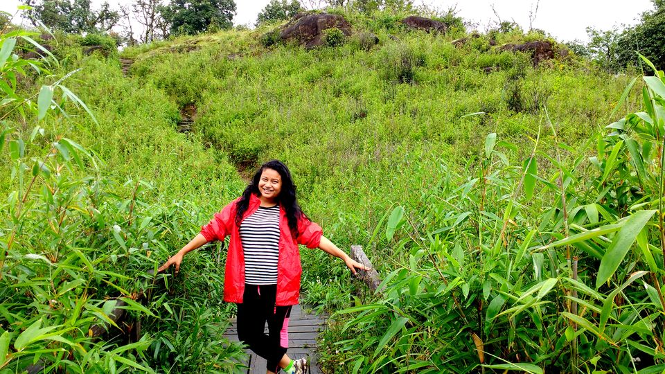 Photo of Hidden Terrains of Dzukou Valley in Nagaland 4/12 by upasana kakati