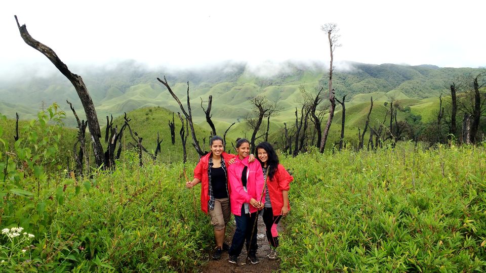 Photo of Hidden Terrains of Dzukou Valley in Nagaland 11/12 by upasana kakati