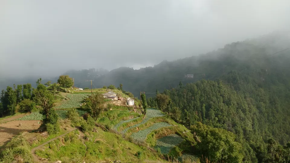 Photo of Buraaskhande in Dhanaulti - Perfect Getaway by upasana kakati