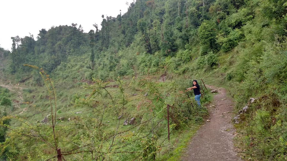 Photo of Buraaskhande in Dhanaulti - Perfect Getaway by upasana kakati