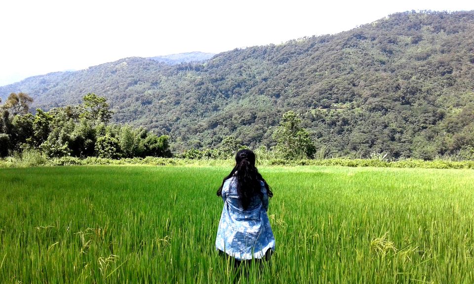 Photo of Solo walk in lone hill of Assam- Haflong 1/18 by upasana kakati