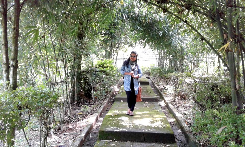 Photo of Solo walk in lone hill of Assam- Haflong 11/18 by upasana kakati