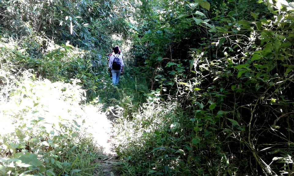 Photo of Solo walk in lone hill of Assam- Haflong 14/18 by upasana kakati