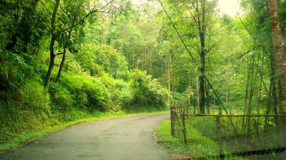 Photo of Offbeat trip to Longkhum village, Nagaland 8/24 by upasana kakati