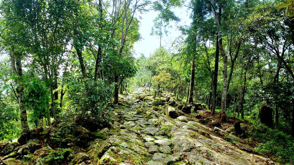 Photo of Offbeat trip to Longkhum village, Nagaland 12/24 by upasana kakati