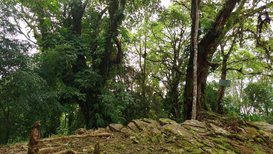 Photo of Offbeat trip to Longkhum village, Nagaland 24/24 by upasana kakati