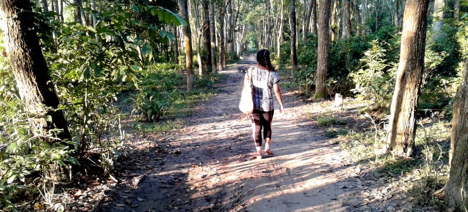 Photo of Countryside Abode at Majuli Island!! 15/41 by upasana kakati