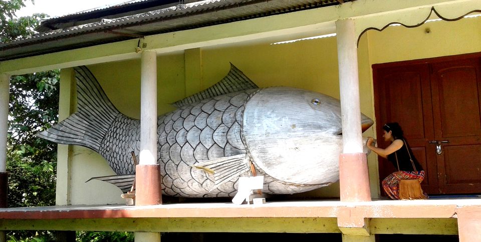 Photo of Countryside Abode at Majuli Island!! 25/41 by upasana kakati