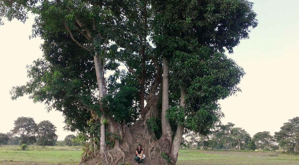 Photo of Countryside Abode at Majuli Island!! 34/41 by upasana kakati