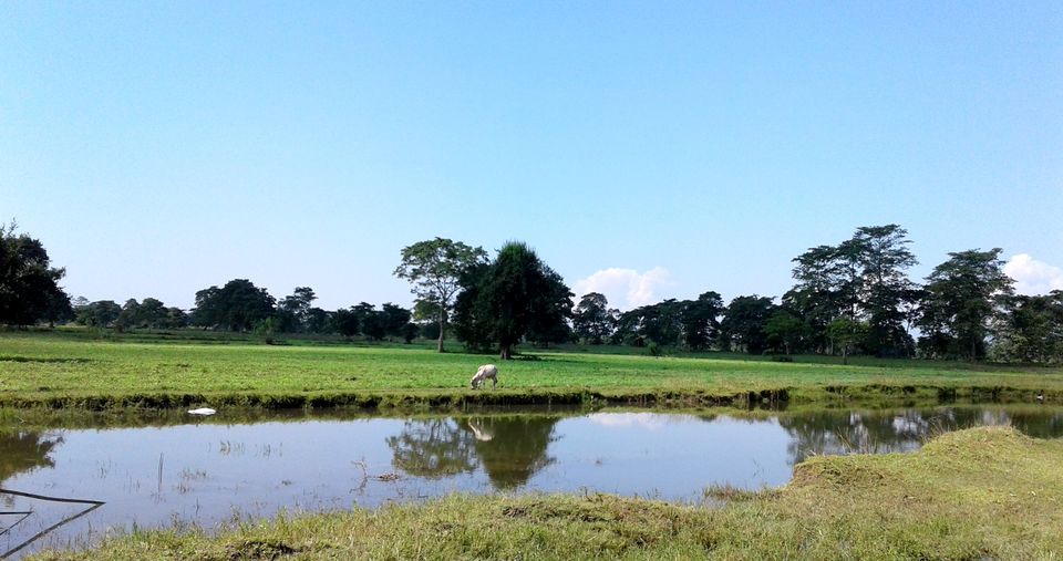 Photo of Countryside Abode at Majuli Island!! 31/41 by upasana kakati