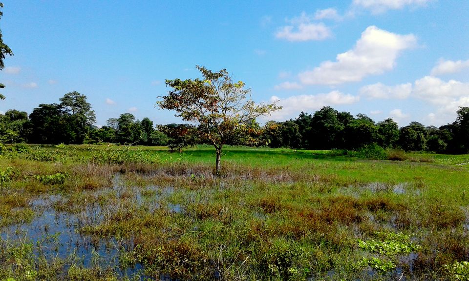 Photo of Countryside Abode at Majuli Island!! 39/41 by upasana kakati