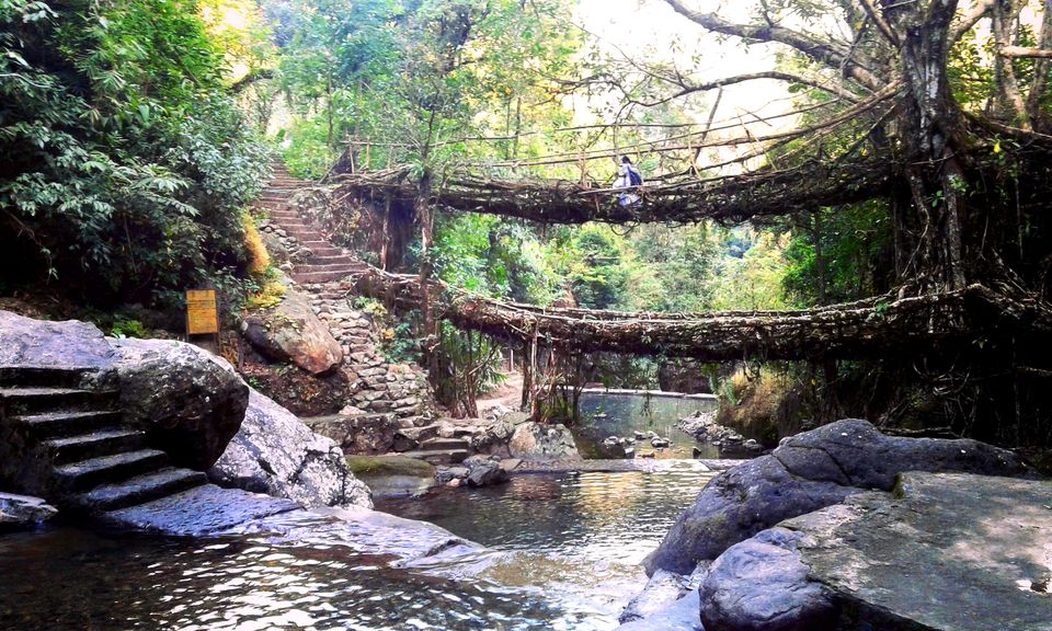 Photo of Home To Double Decker Living Root Bridge - Nongriat Village 1/19 by upasana kakati