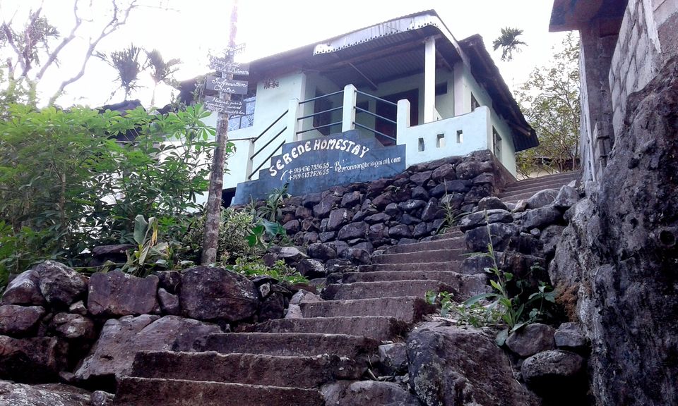 Photo of Home To Double Decker Living Root Bridge - Nongriat Village 5/19 by upasana kakati