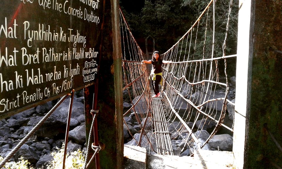 Photo of Home To Double Decker Living Root Bridge - Nongriat Village 10/19 by upasana kakati