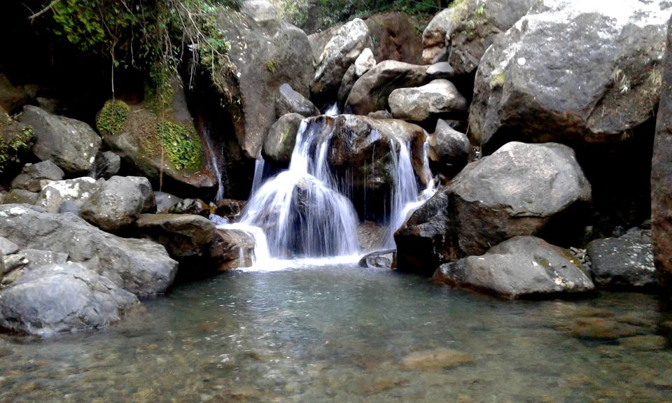 Photo of Home To Double Decker Living Root Bridge - Nongriat Village 14/19 by upasana kakati