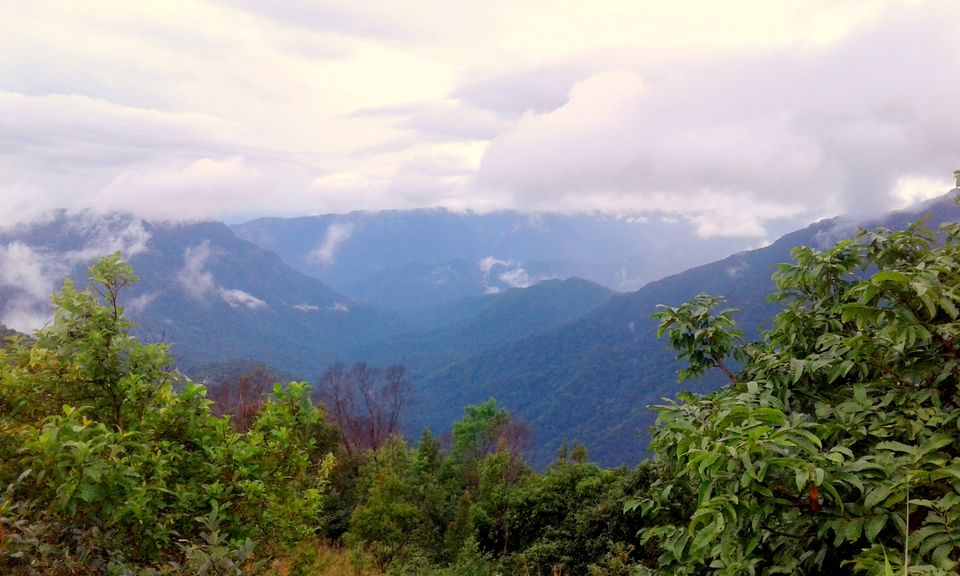 Photo of Home To Double Decker Living Root Bridge - Nongriat Village 18/19 by upasana kakati