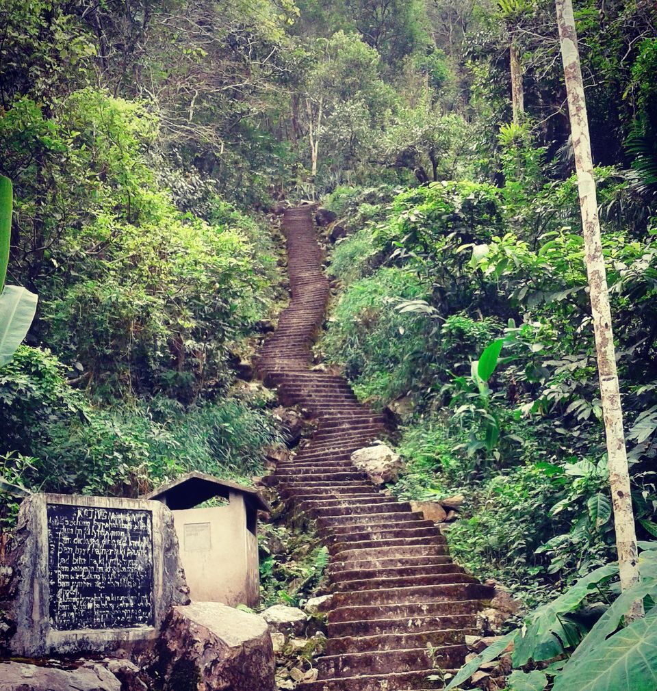 Photo of Home To Double Decker Living Root Bridge - Nongriat Village 19/19 by upasana kakati