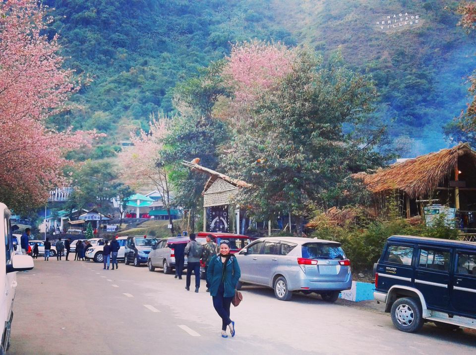 Photo of Witnessing Hornbill Festival 2016, Nagaland 5/20 by upasana kakati