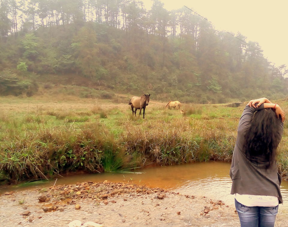 Photo of Mawphanlur - Drool in the Countryside Beauty 10/23 by upasana kakati